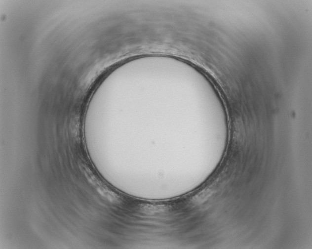 X0000089401499200707061215