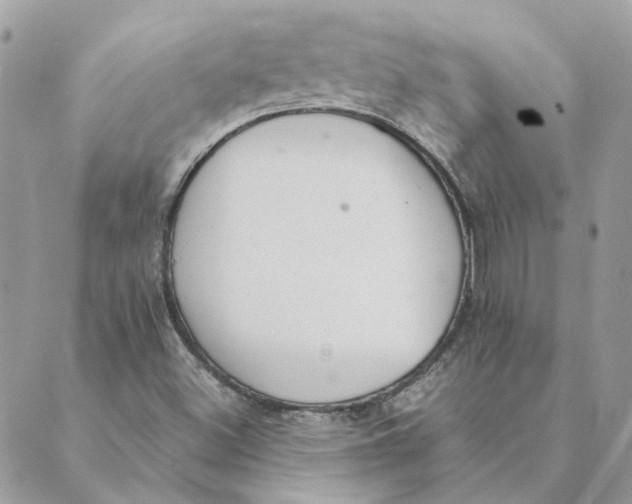 X0000089401500200707061215