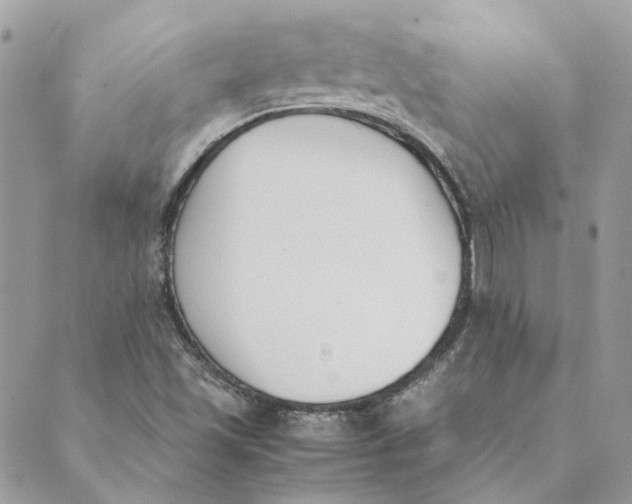 X0000089401501200707061215