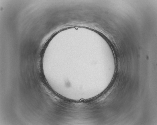 X0000089401502200707061215