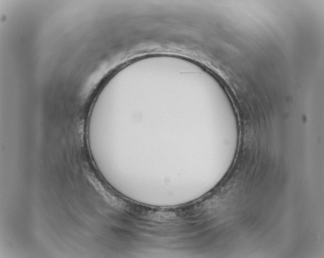 X0000089401503200707061215