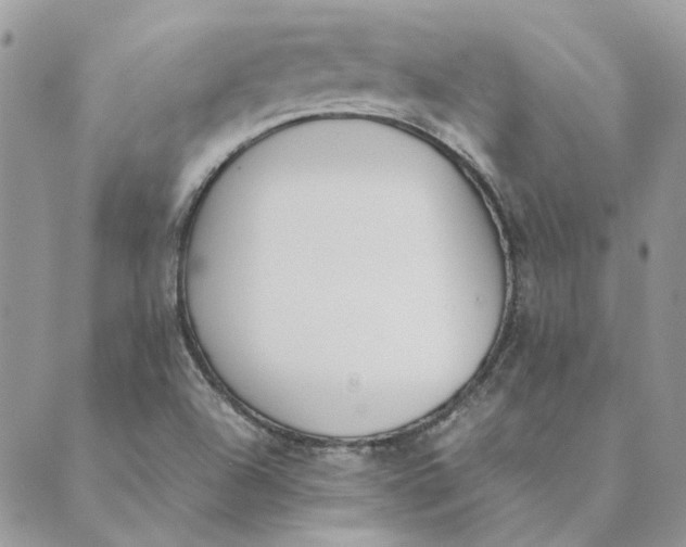 X0000089401504200707061215