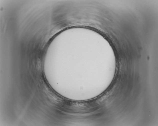 X0000089401505200707061215