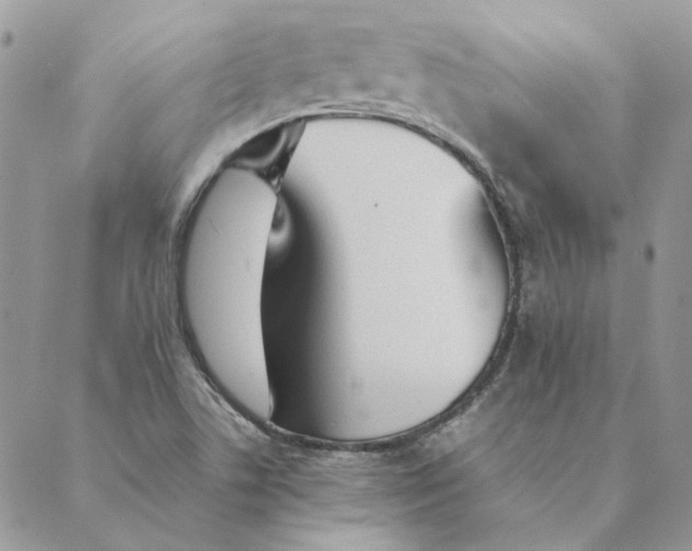 X0000089401506200707061215