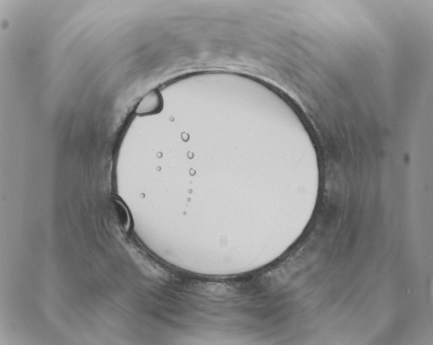 X0000089401507200707061216