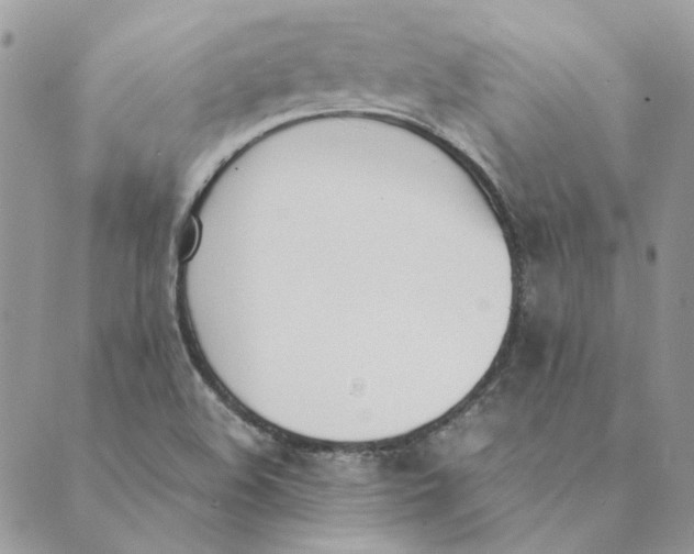 X0000089401508200707061216