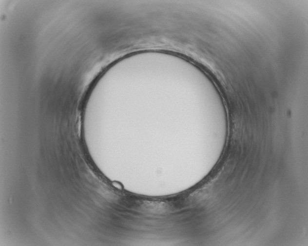 X0000089401509200707061216