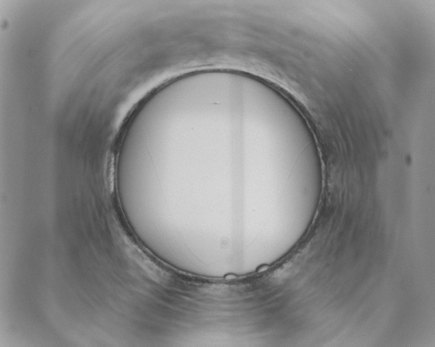 X0000089401510200707061216