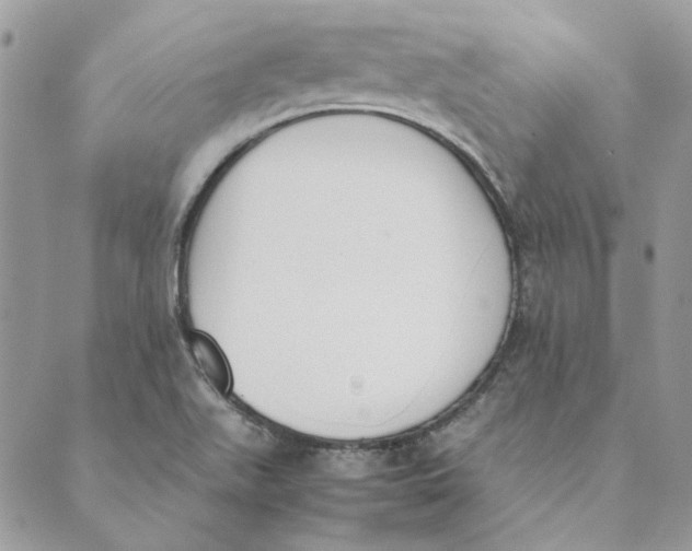 X0000089401511200707061216