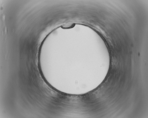 X0000089401512200707061216