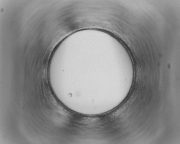 X0000089401513200707061216