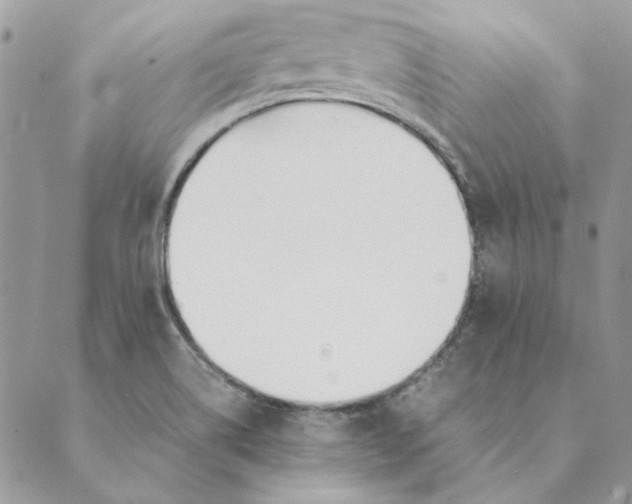 X0000089401514200707061216