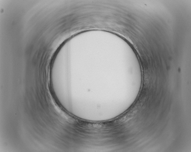 X0000089401515200707061216