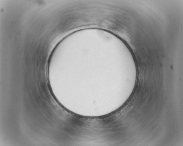 X0000089401516200707061216