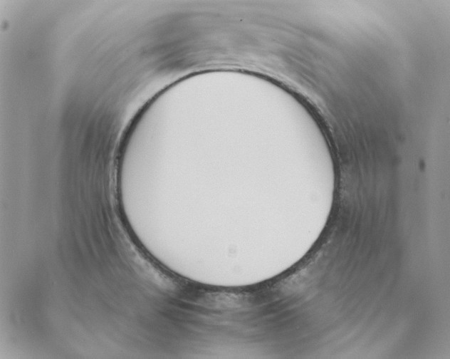 X0000089401517200707061216