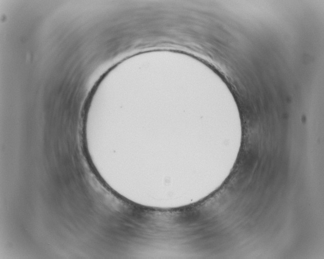 X0000089401518200707061216