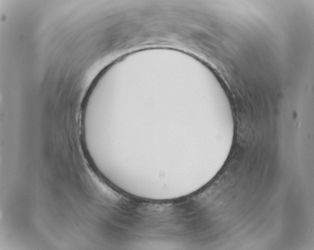 X0000089401519200707061216