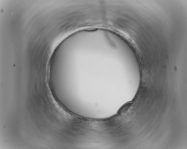 X0000089401520200707061216