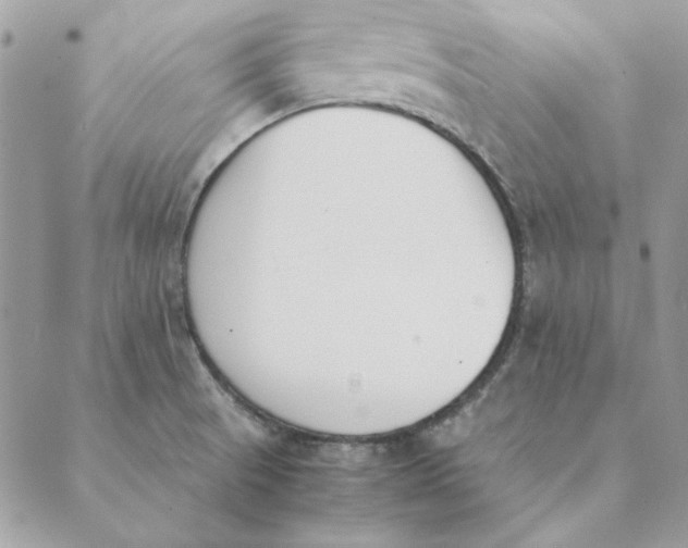 X0000089401521200707061216