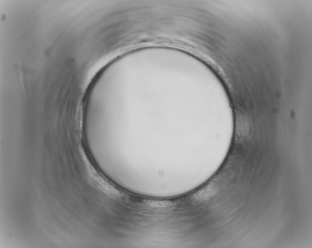 X0000089401522200707061216