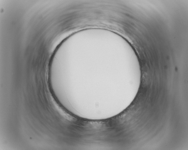 X0000089401523200707061216