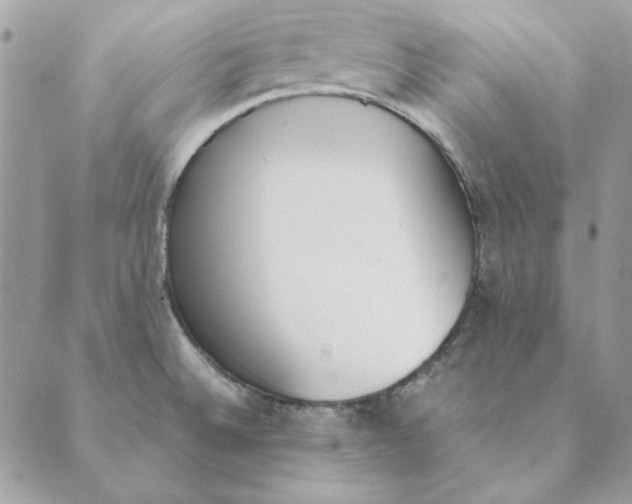 X0000089401524200707061216