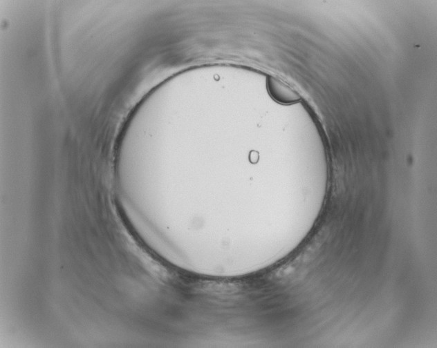 X0000089401525200707061216