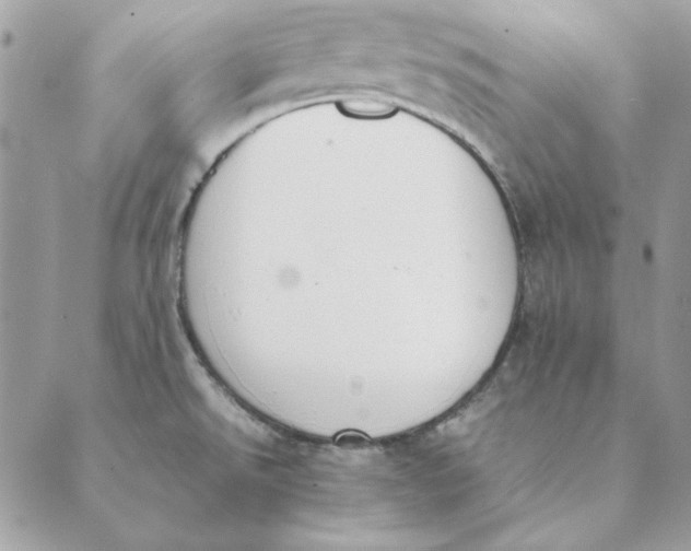 X0000089401526200707061216