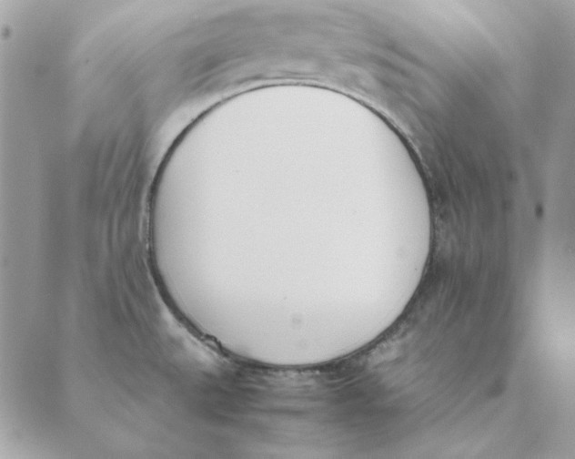 X0000089401527200707061216