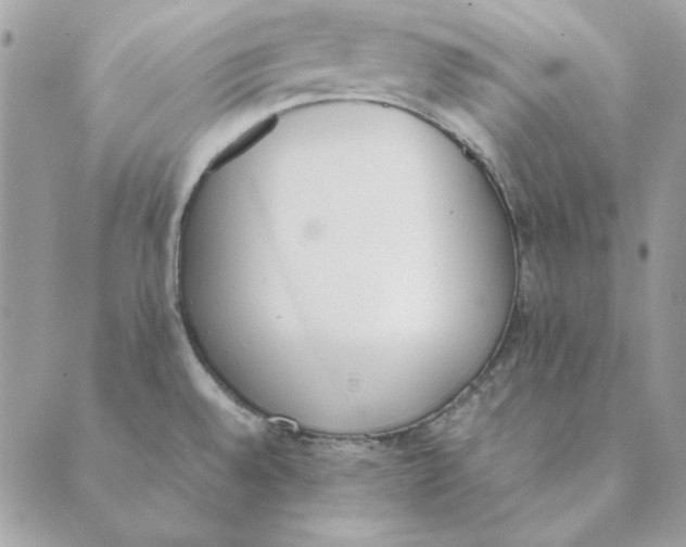 X0000089401528200707061216