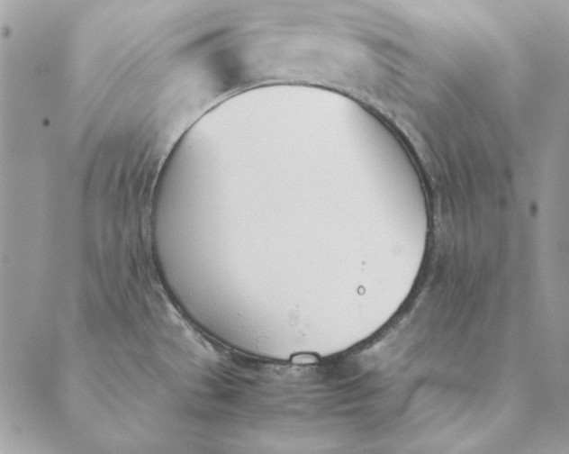 X0000089401529200707061216