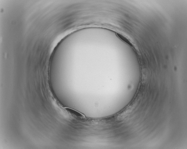 X0000089401530200707061216