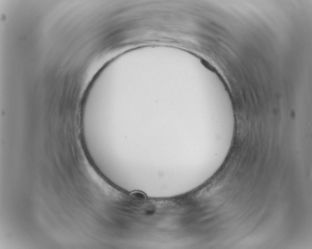 X0000089401531200707061216