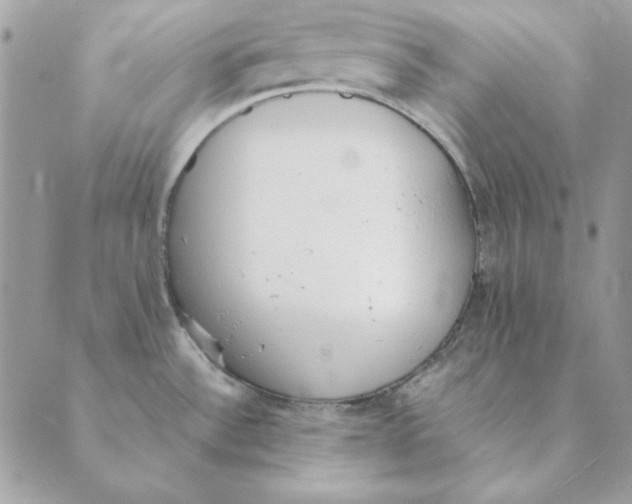 X0000089401532200707061216