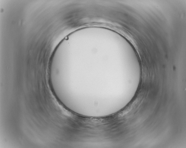 X0000089401533200707061216