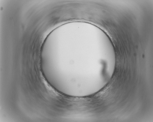 X0000089401534200707061216