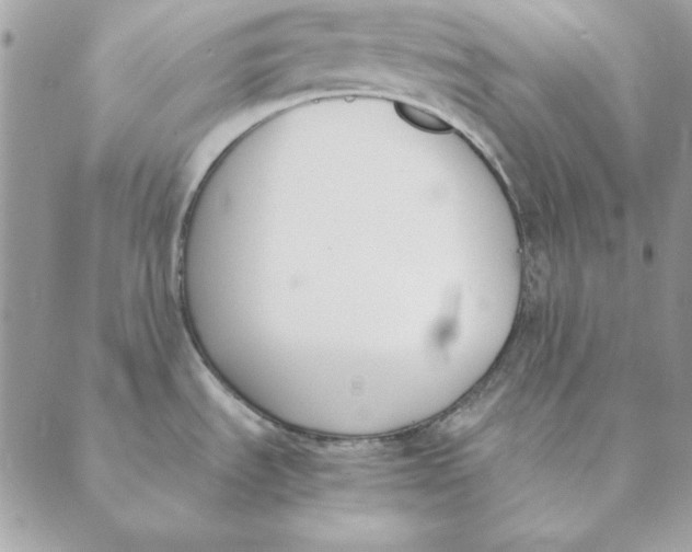 X0000089401535200707061216