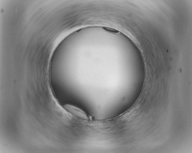 X0000089401536200707061216