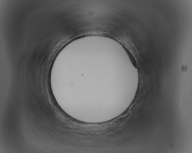 X0000089400001200707131749