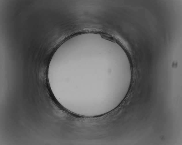 X0000089400009200707131749