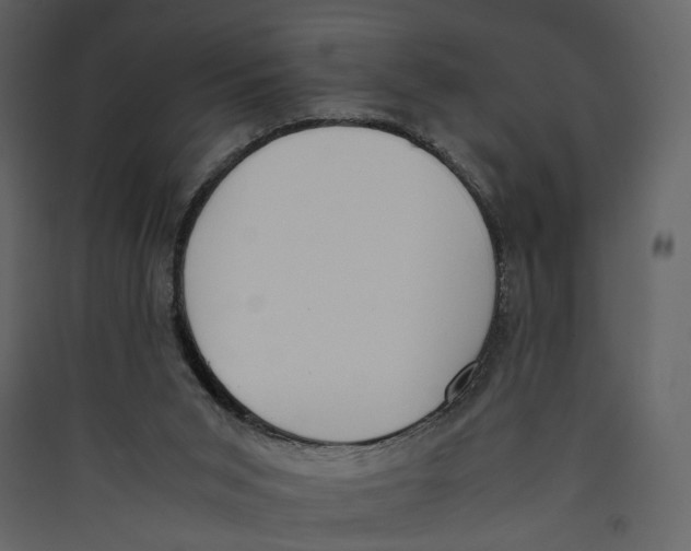 X0000089400015200707131749
