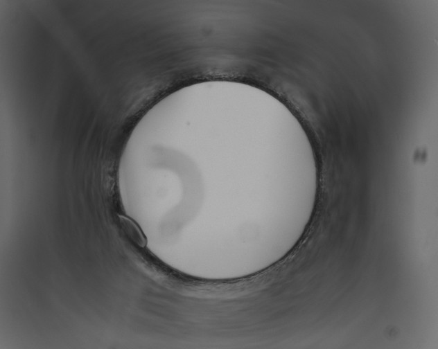 X0000089400017200707131749