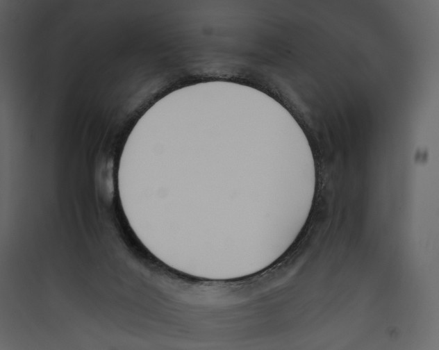 X0000089400020200707131749