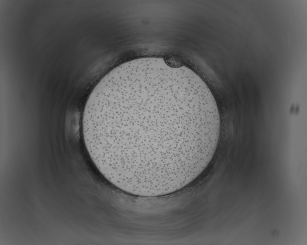 X0000089400022200707131749