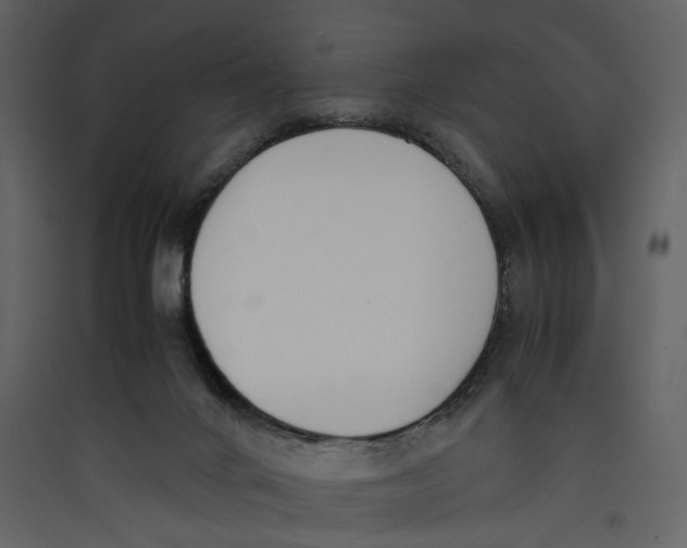 X0000089400024200707131749