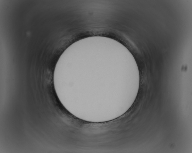 X0000089400025200707131749