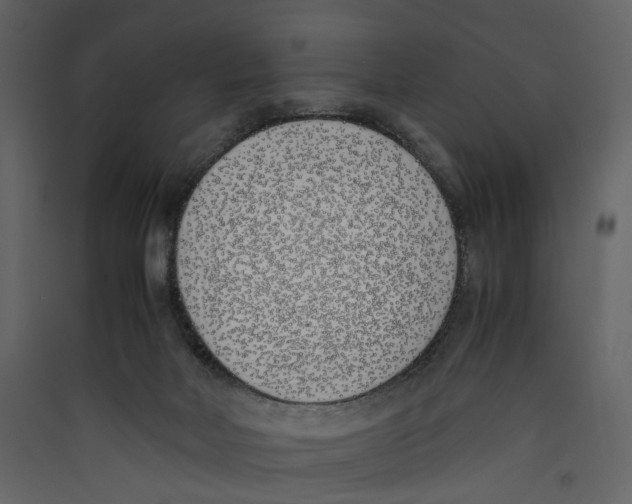 X0000089400026200707131749