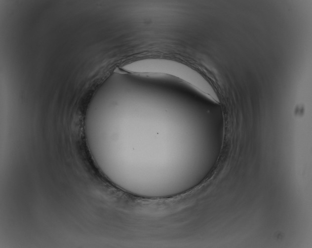 X0000089400029200707131749