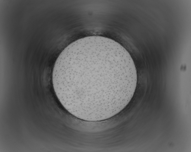 X0000089400030200707131749