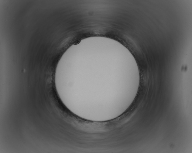 X0000089400032200707131749